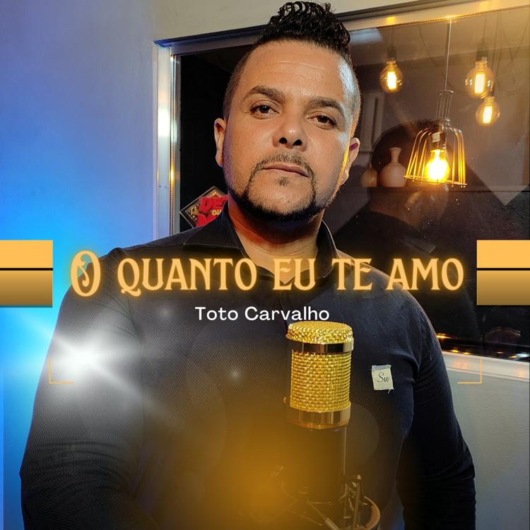 Totó Carvalho's avatar image