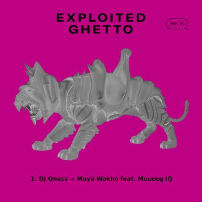 Moyà Wakho By DJ Qness, Museeq IQ's cover