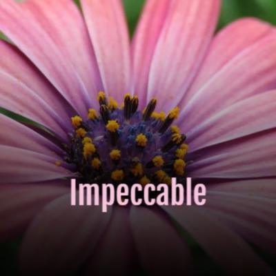 Impeccable's cover