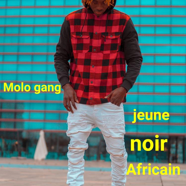 Molo Gang's avatar image