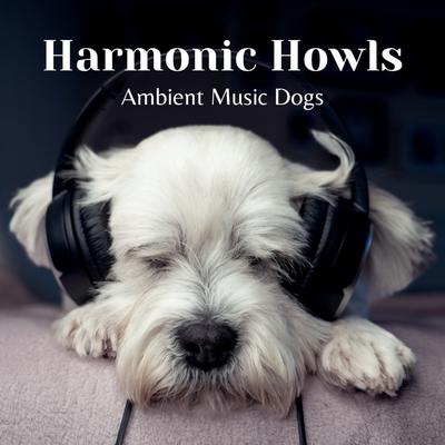 Dogs Sniff Ambient Music's cover