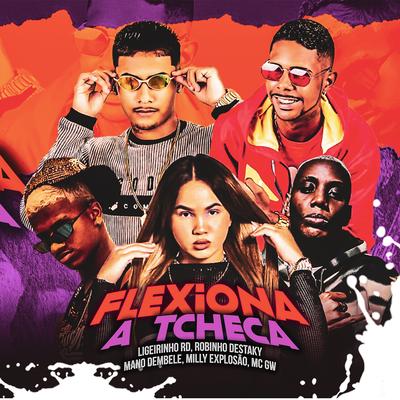 Flexiona a Tcheca (Remix) By Ligeirinho RD, Milly Explosão, Robinho Destaky's cover