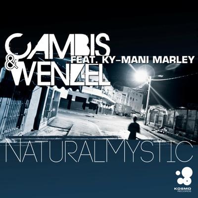 Cambis & Wenzel's cover