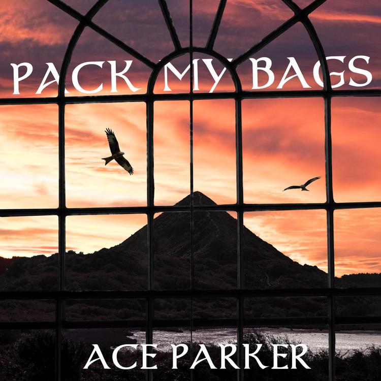 Ace Parker's avatar image