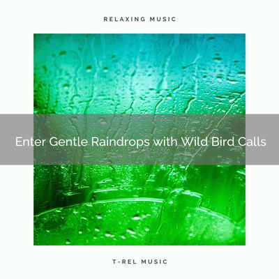 ! ! ! ! ! ! ! ! ! ! Enter Gentle Raindrops with Wild Bird Calls's cover