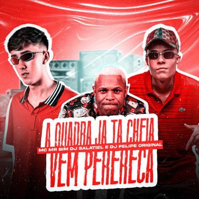 A Quadra Já Tá Cheia / Vem Perereca By DJ Salatiel, DJ Felipe Original, Mc Mr. Bim's cover