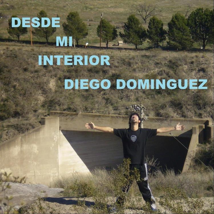 Diego Dominguez's avatar image