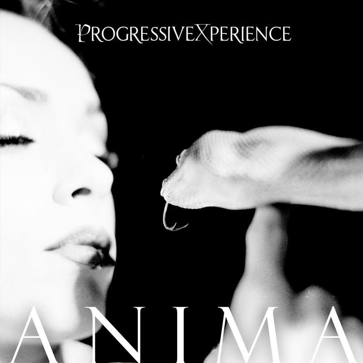 ProgressiveXperience's avatar image