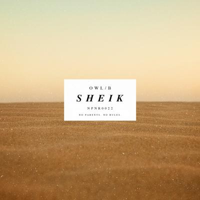 Sheik's cover