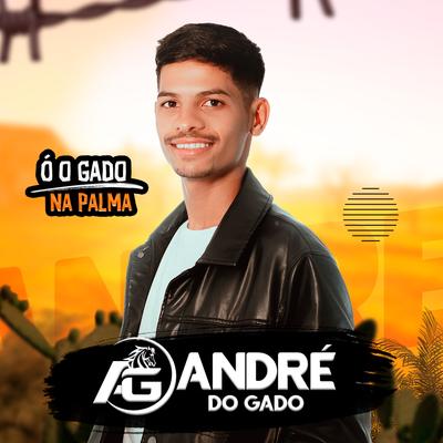 Vaqueiro Testado (Feat. MIMIN DO GADO) (feat. Mimin do Gado) By ANDRÉ DO GADO, Mimin do Gado's cover
