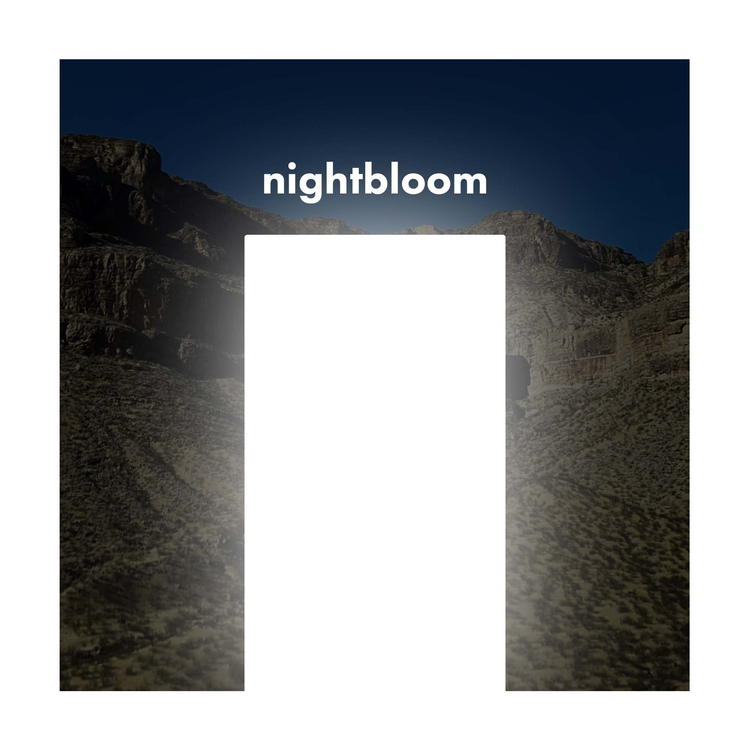 nightbloom's avatar image