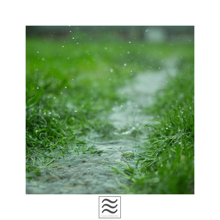 Blissful Rain's avatar image