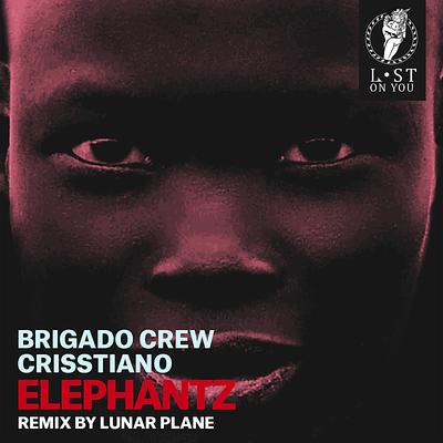 Burning By Brigado Crew, Crisstiano, Haptic's cover