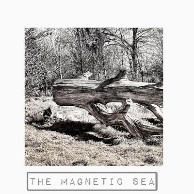 The Magnetic Sea's cover