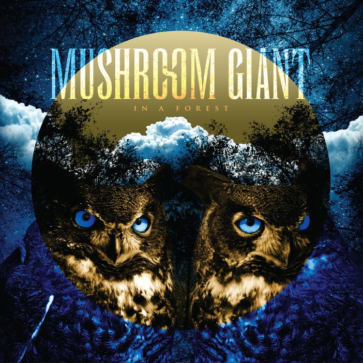 Mushroom Giant's avatar image
