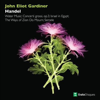 Water Music, Suite No. 1 in F Major, HWV 348: III. (b) Andante By John Eliot Gardiner's cover