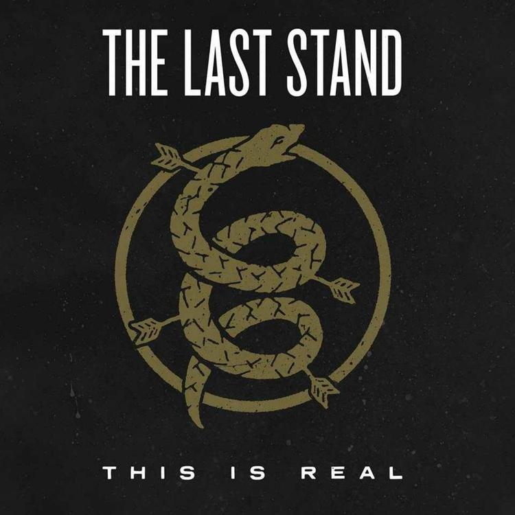 The Last Stand's avatar image