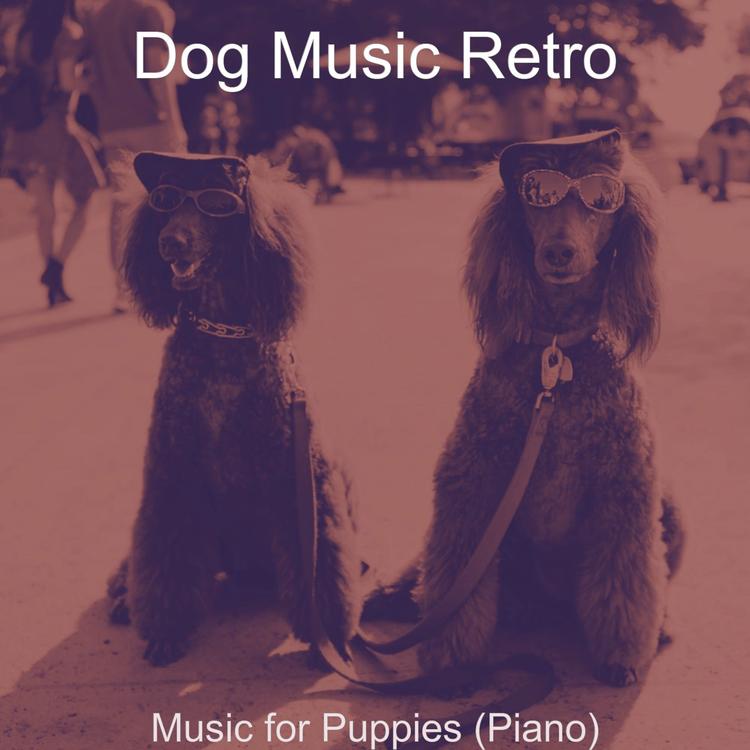 Dog Music Retro's avatar image