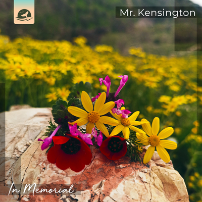 In Memorial By Mr. Kensington's cover