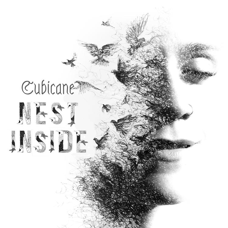 Cubicane's avatar image