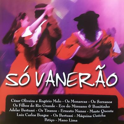 Baile da Encruzilhada By Os Bertussi's cover
