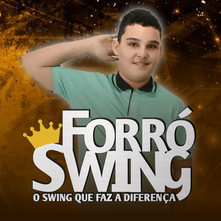 Forró Swing Oficial's avatar image