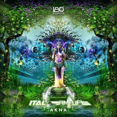 Akna By Ital, Amplify's cover