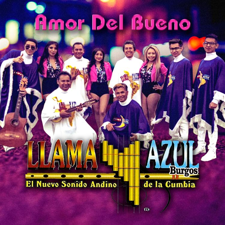 Llama y Azul's avatar image
