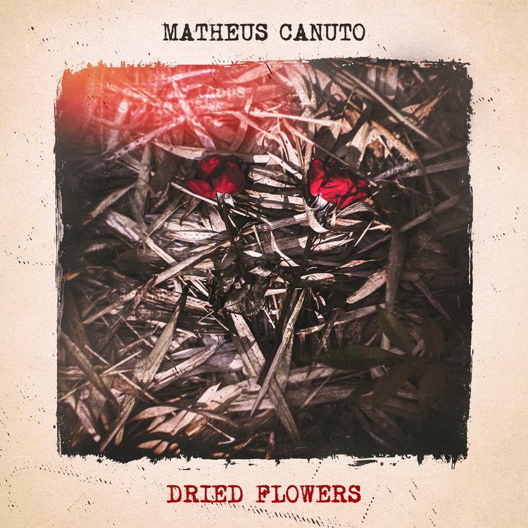 Matheus Canuto's avatar image