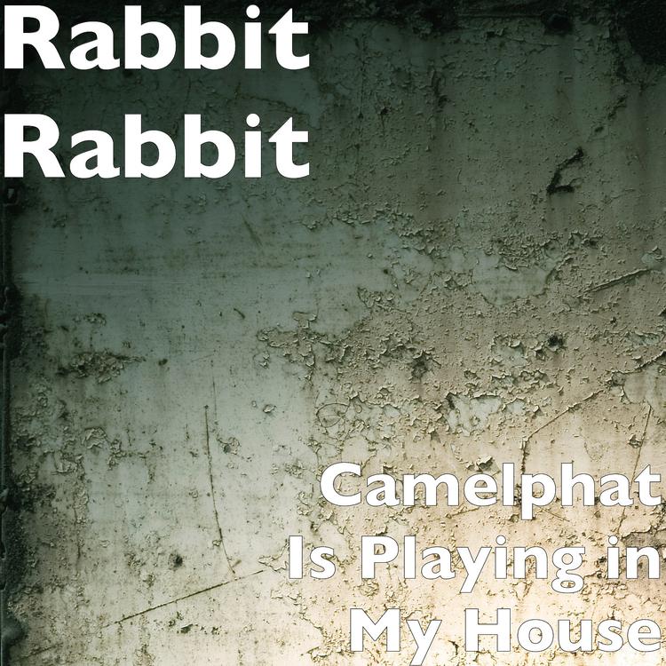 Rabbit Rabbit's avatar image