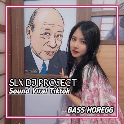 SLX DJ PROJECT's cover