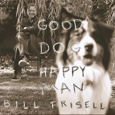 Cold, Cold Ground By Bill Frisell's cover