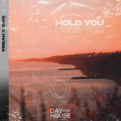 Hold You By Freaky DJs's cover