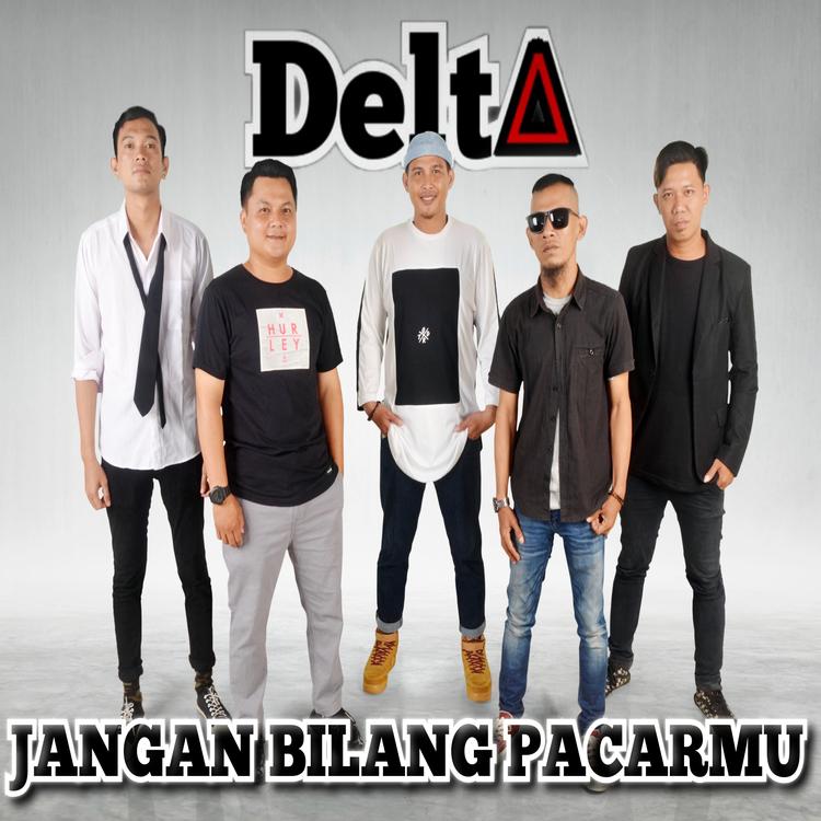 Delta Band's avatar image