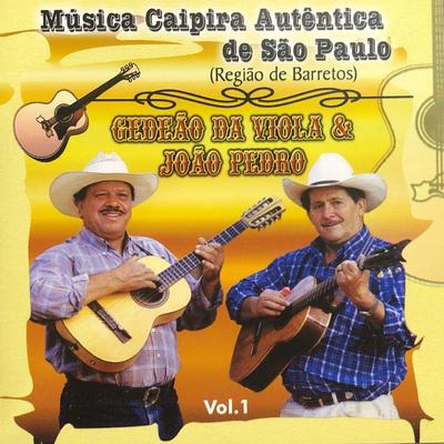 A Lenda do Rio Abaixo By Gedeão da Viola & João Pedro's cover