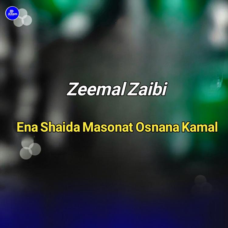 Zeemal Zaibi's avatar image