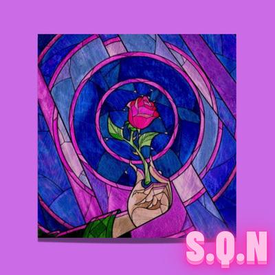 S. Q. N's cover