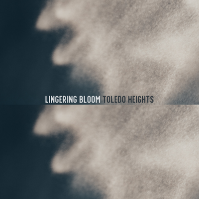 Lingering Bloom By Toledo Heights's cover