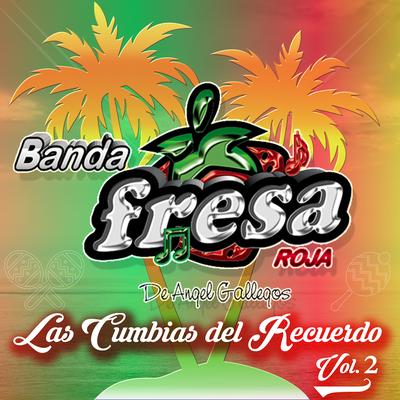 Las Cumbias del Recuerdo, Vol. 2's cover