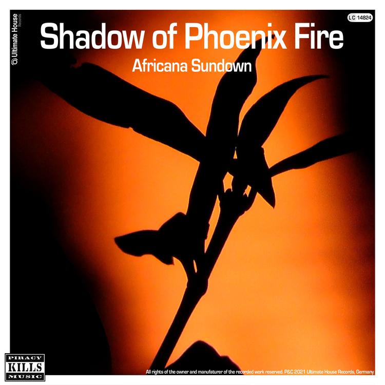 Africana Sundown's avatar image
