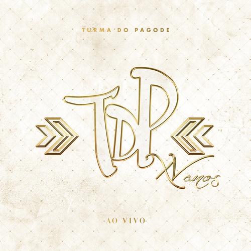 TURMA DO PAGODE 15 ANOS's cover