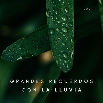 1 Hora De Sonido De Lluvia's cover