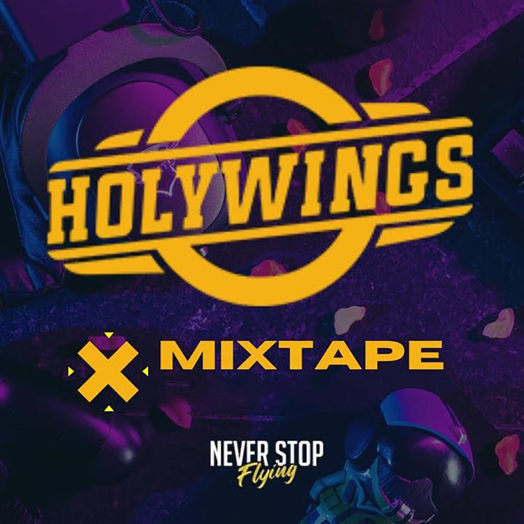 HOLYWINGS's avatar image