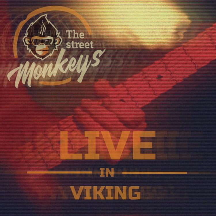 THE STREET MONKEYS's avatar image