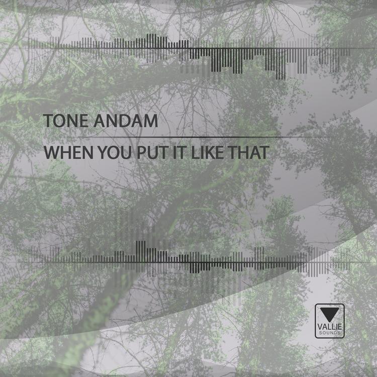 Tone Andam's avatar image