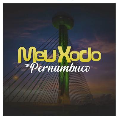 Solidão Demais By Banda Meu Xodó De Pernambuco's cover