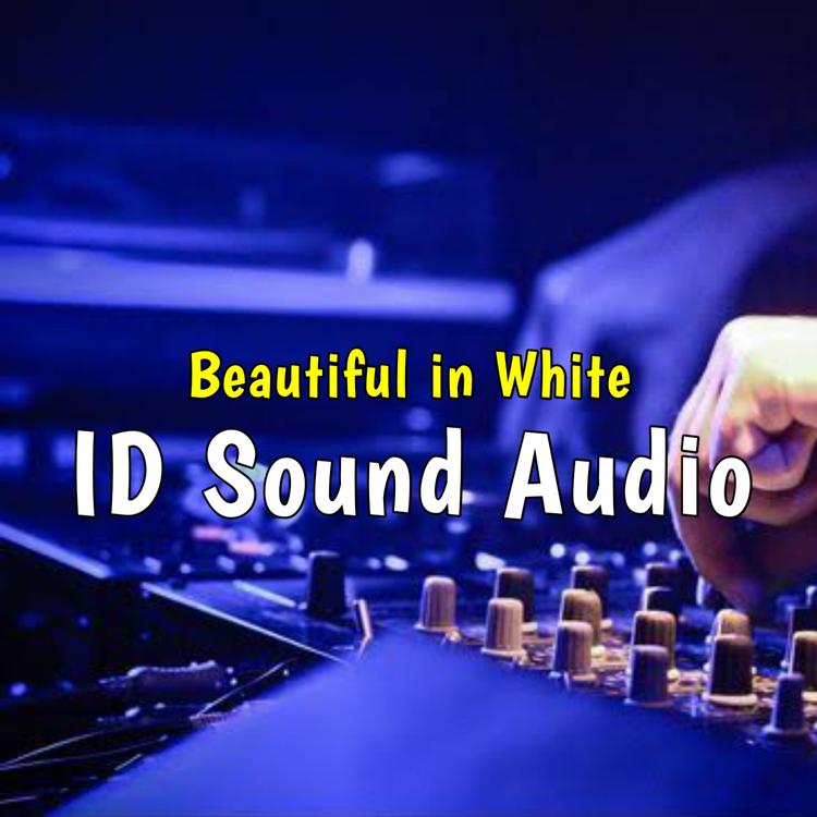 ID Sound Audio's avatar image