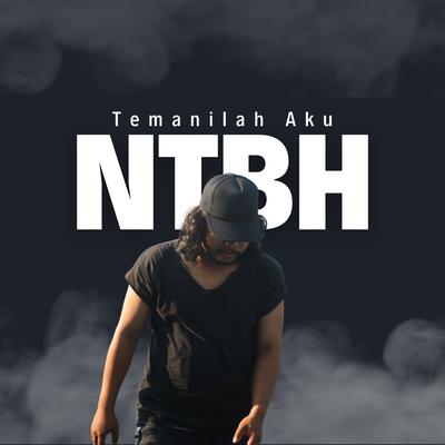 Temanilah Aku (Acoustic)'s cover