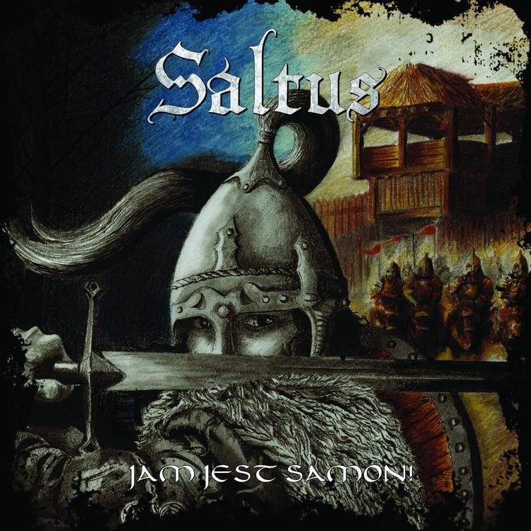 Saltus's avatar image