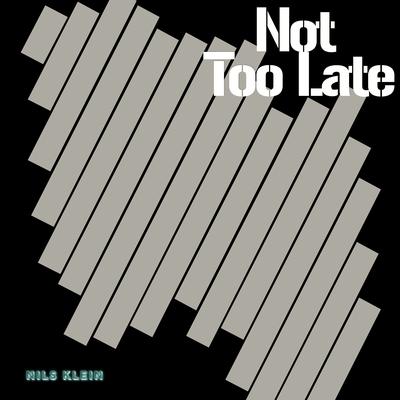 Not Too Late By Nils Klein's cover